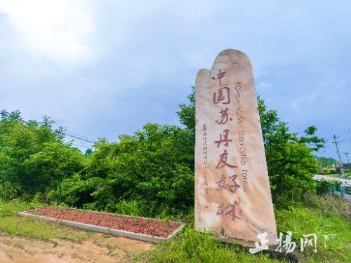 ���������⽻���䣺̽��Ҷ���¡��й��յ��Ѻ��֡�